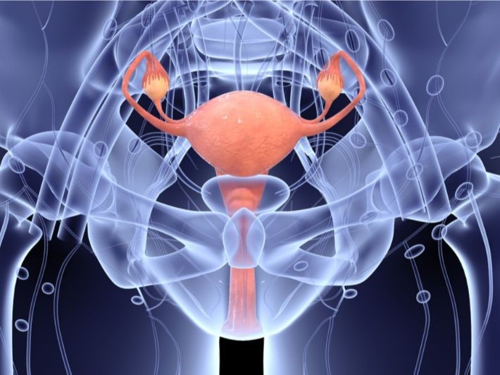 Female Sexually Transmitted Diseases (Large)